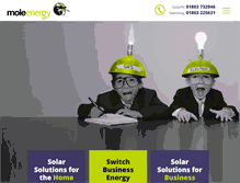 Tablet Screenshot of moleenergy.com
